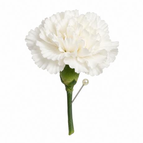 White carnation with pin for bulk boutonniere orders