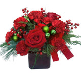 Yuletide Ruby Radiance Standard