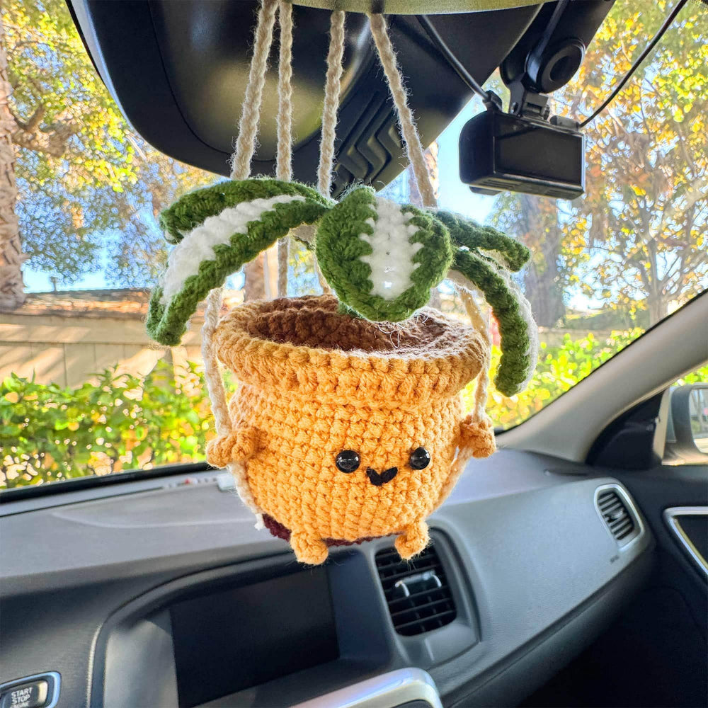 Hanging Crochet Plant for Car