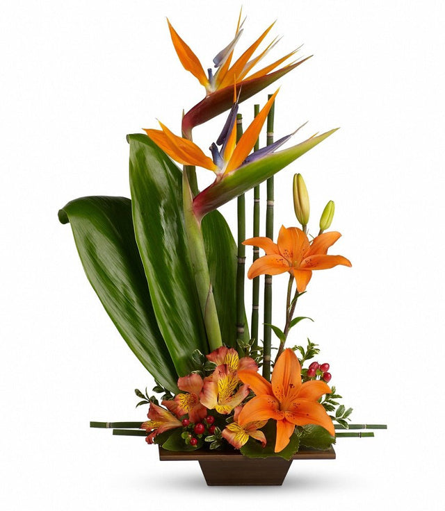 Exotic Grace Tropical Bouquet - Standard