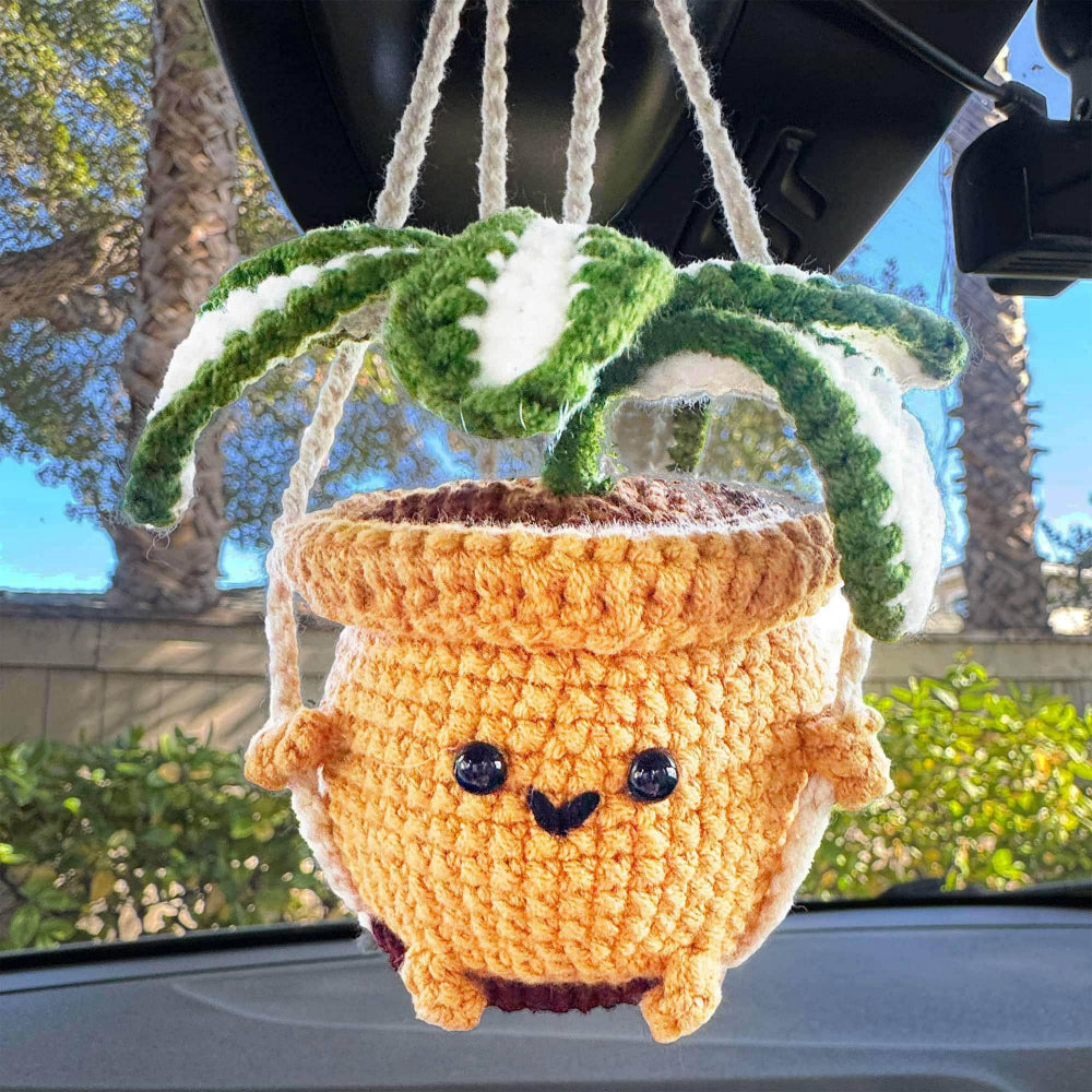 Hanging Crochet Snake Plant
