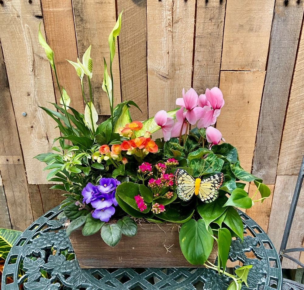 French Garden Planter Premium