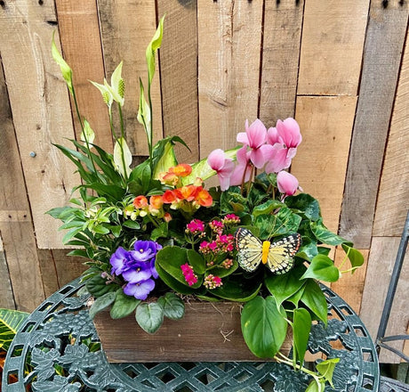 French Garden Planter Premium