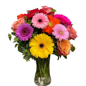 Gerbera Daisies