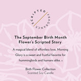 September Birthday Flower Candle Description
