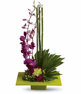 Zen Artistry Tropical Bouquet - Standard